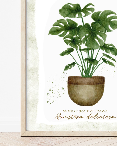 plakat Monstera deliciosa - zdjęcie trzecie w rozmiarze 40x50